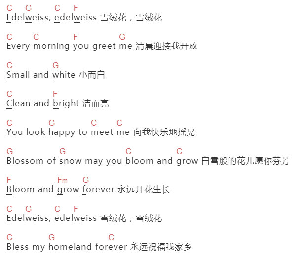 知言菁英小学《Edelweiss》吉他谱C调和弦谱(txt)1